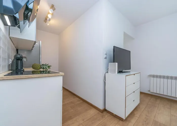 Hello Dworska Light *